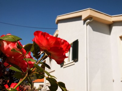 Apartment One bedroom apartment with terrace Banjol, Rab A-3215-a - Outdoor photo 16