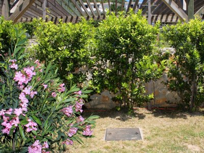 Apartment One bedroom apartment with terrace Banjol, Rab A-3215-c - Outdoor photo 7