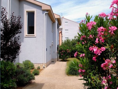 Apartment One bedroom apartment with terrace Banjol, Rab A-3215-d - Outdoor photo 13