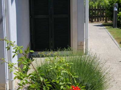 Apartment One bedroom apartment with terrace Palit, Rab A-3212-a - Outdoor photo 15