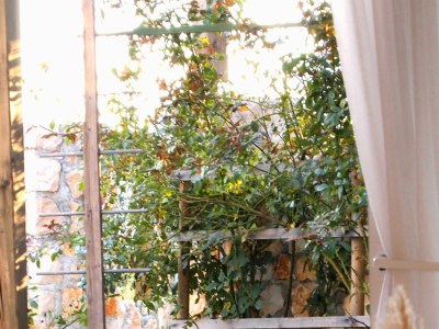 Apartment One bedroom apartment with terrace Palit, Rab A-3212-a - Outdoor photo 28