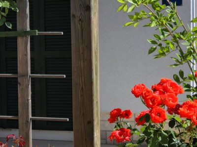 Apartment Two bedroom apartment with terrace and sea view Palit, Rab A-3212-c - Outdoor photo 16