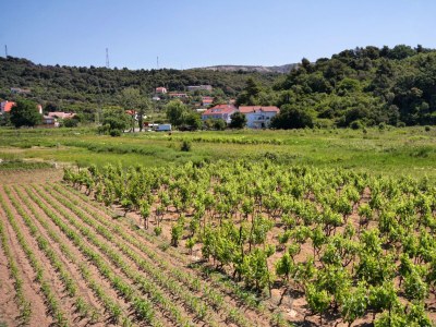 Apartment Two bedroom apartment with terrace and sea view Palit, Rab A-3212-c - Outdoor photo 39