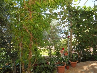 Apartment One bedroom apartment near beach Kustići, Pag A-9360-e - Outdoor photo 22