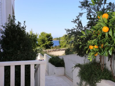 Apartment Two bedroom apartment with terrace and sea view Zečevo Rtić, Rogoznica A-10333-a - Outdoor photo 18