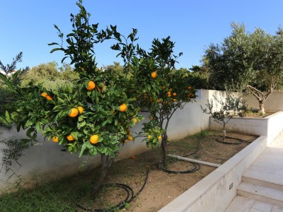 Apartment Two bedroom apartment with terrace and sea view Zečevo Rtić, Rogoznica A-10333-b - Outdoor photo 14