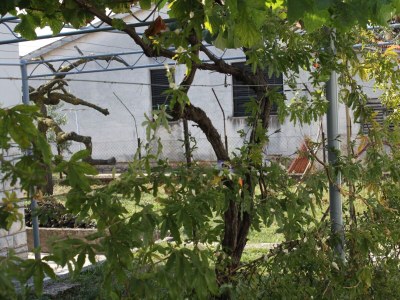 Apartment Studio flat with terrace Umag AS-7126-a - Outdoor photo 13