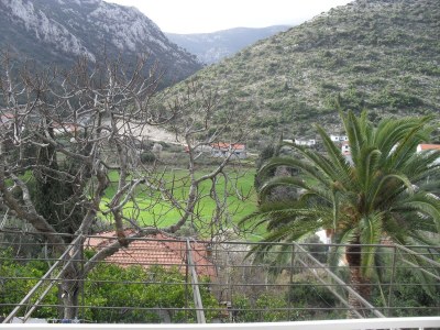 Apartment Comfortable and spacious apartment with terrace Trpanj, Pelješac A-11545-a - Outdoor photo 31