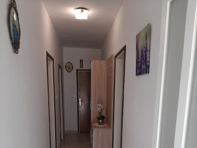 Apartment Two bedroom apartment with terrace Trpanj, Pelješac A-11545-b - Outdoor photo 12