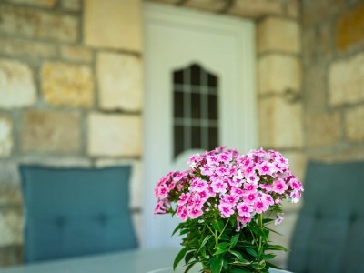 Apartment Three bedroom apartment with terrace Postira, Brač A-14822-a - Outdoor photo 11