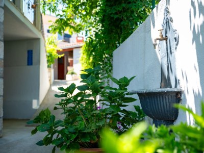 Apartment Three bedroom apartment with terrace Postira, Brač A-14822-a - Outdoor photo 28