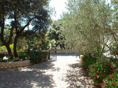 Apartment Two bedroom apartment with terrace and sea view Mandre, Pag A-18748-d - Outdoor photo 6