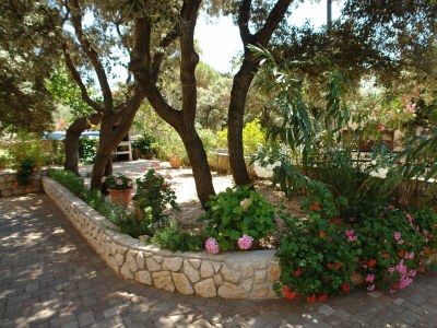 Apartment Two bedroom apartment with terrace and sea view Mandre, Pag A-18748-d - Outdoor photo 7