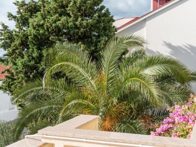 Apartment Two bedroom apartment with terrace and sea view Mandre, Pag A-18748-d - Outdoor photo 25