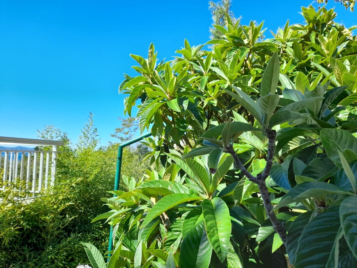 Apartment Two bedroom apartment with terrace Brela, Makarska A-18417-a - Outdoor photo 2