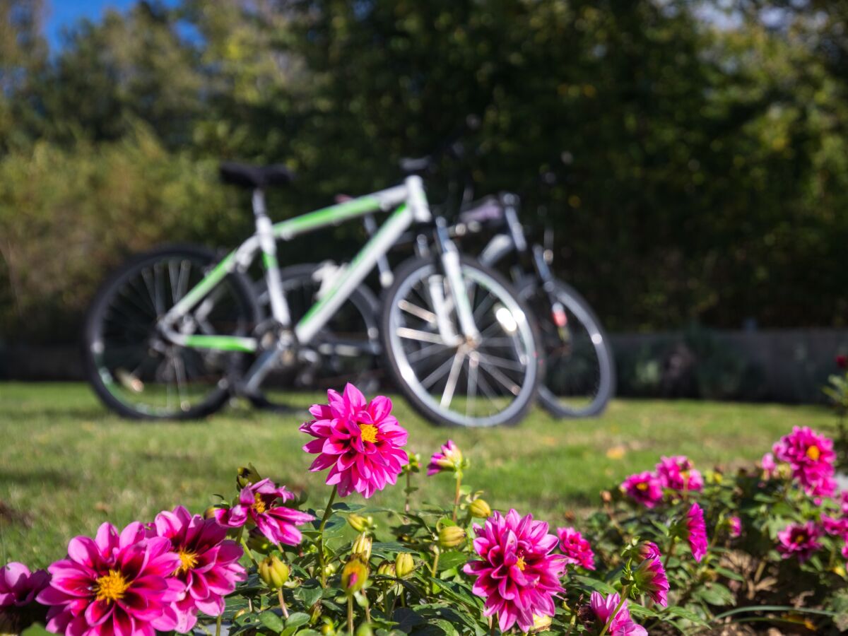 Apartment One bedroom apartment with terrace Baška, Krk A-19674-a - Outdoor photo 5