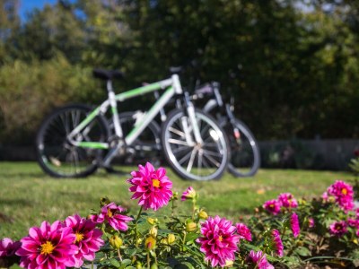 Apartment One bedroom apartment with terrace Baška, Krk A-19674-a - Outdoor photo 5