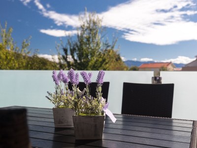 Apartment One bedroom apartment with terrace Baška, Krk A-19674-a - Outdoor photo 18