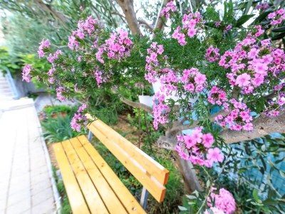 Apartment Two bedroom apartment with terrace and sea view Brela, Makarska A-19998-b - Outdoor photo 13