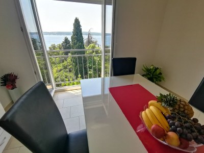 Apartment Three bedroom apartment near beach Dramalj, Crikvenica A-22501-a - Outdoor photo 15