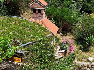 Apartment Two bedroom apartment with balcony Palit, Rab A-22743-a - Outdoor photo 5