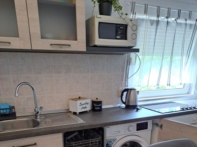 Apartment Two bedroom apartment with balcony Palit, Rab A-22743-a - Outdoor photo 11