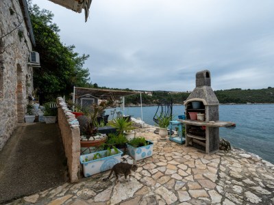 Apartment One bedroom apartment near beach Savar, Dugi otok A-23087-a - Outdoor photo 7