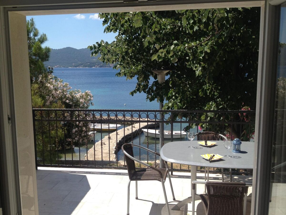 Apartment One bedroom apartment with terrace and sea view Viganj, Pelješac A-24522-a