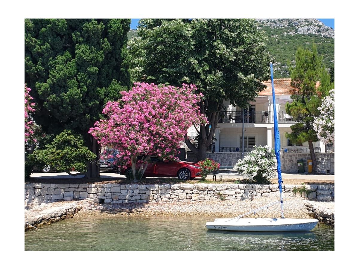 Apartment One bedroom apartment with terrace and sea view Viganj, Pelješac A-24522-d - Outdoor photo 2