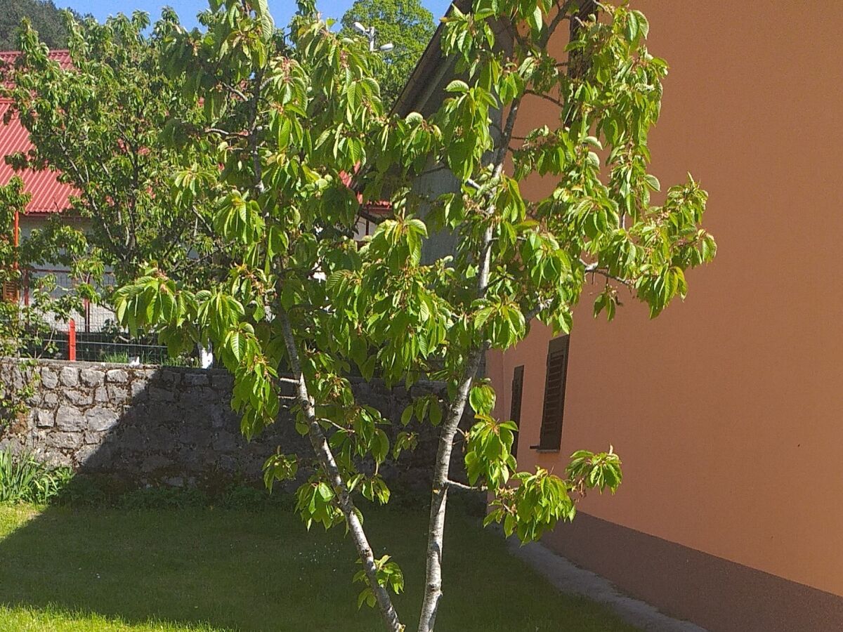 Holiday house Two bedroom house with balcony Volarice, Senj K-24883 - Outdoor photo 4