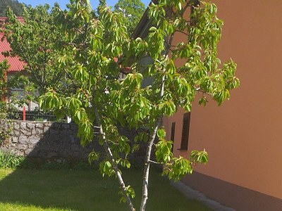 Holiday house Two bedroom house with balcony Volarice, Senj K-24883 - Outdoor photo 4