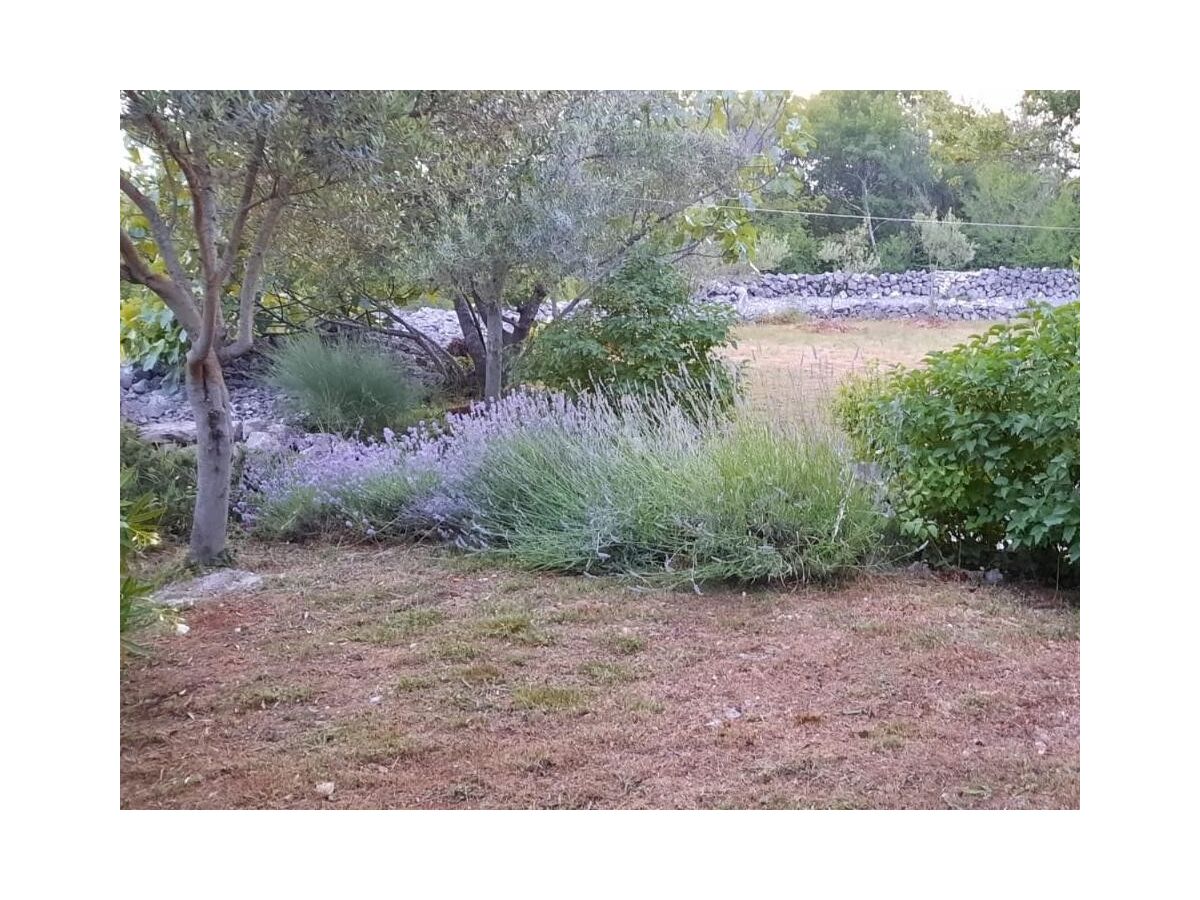 Apartment Two bedroom apartment with terrace and sea view Skrbcici, Krk A-25009-a - Outdoor photo 4