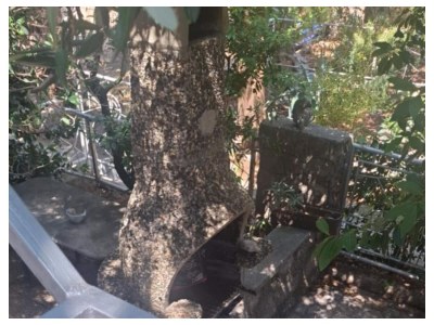 Apartment Two bedroom apartment near beach Ribarica, Karlobag A-25024-a - Outdoor photo 15