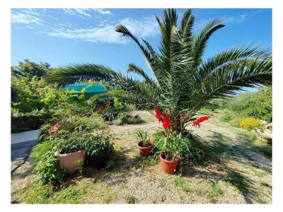 Apartment One bedroom apartment with terrace Barbat, Rab A-25028-a - Outdoor photo 4