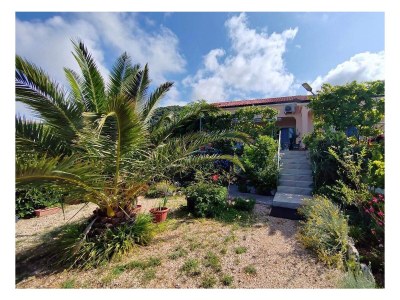 Apartment One bedroom apartment with terrace Barbat, Rab A-25028-a - Outdoor photo 5