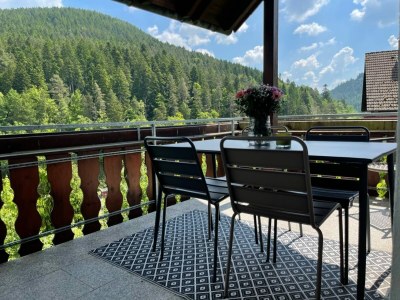 Holiday apartment Fronwald Bergsee - Outdoor photo 3