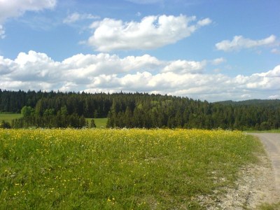 Holiday apartment Fronwald Bergsee - Environment photo 22