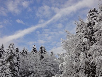 Holiday apartment Fronwald Bergsee - Environment photo 24