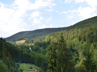 Holiday apartment Fronwald Bergsee - Environment photo 25