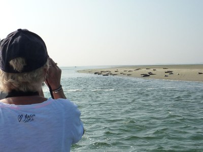 Holiday house Kingfisher - Environment photo 17