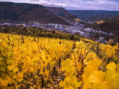 Holiday apartment FeWo-Ginsterberg - Environment photo 14