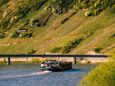 Holiday apartment FeWo-Ginsterberg - Environment photo 15