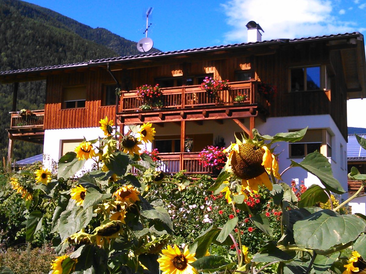 Holiday apartment Blaseggerhof - Outdoor photo 3