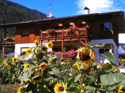 Holiday apartment Blaseggerhof - Outdoor photo 3