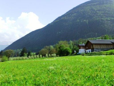 Holiday apartment Blaseggerhof - Outdoor photo 4