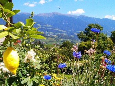 Holiday apartment Blaseggerhof - Environment photo 13