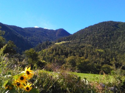 Holiday apartment Blaseggerhof - Environment photo 15