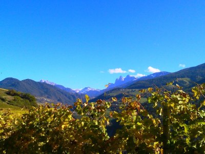 Holiday apartment Blaseggerhof - Environment photo 16