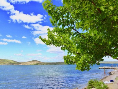 Holiday park Wohnung in Bilice nahe Krka Nationalpark - Environment photo 12