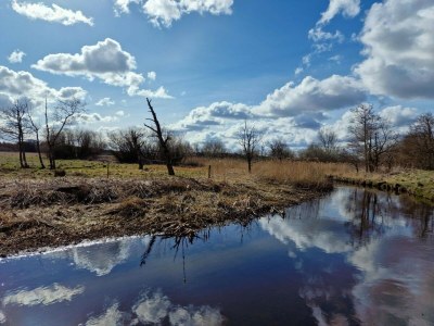 Apartment Dancenter Hotel Jomfru Ane Premium Twin - Environment photo 28
